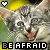 :icontanyamacadam: