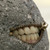 :icontapasyuth: