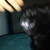 :icontaperandrew: