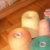 :icontapestrybabe: