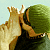 :icontaphosarts: