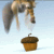 :icontar-ankalime-stock: