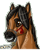 :icontara-jade: