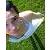 :icontarajean26: