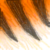 :icontaraleeg: