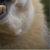 :icontardllama4plz: