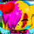 :icontari-starry: