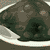 :icontaro-kun34: