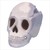 :icontarroux31: