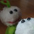 :icontarulimint: