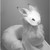 :icontaryal-ferrando: