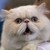 :icontashaaa-jun: