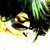 :icontashadamn: