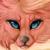 :icontashaluff: