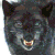 :icontashamaelynn: