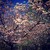 :icontasia-shines: