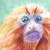 :icontastee-tea:
