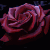 :icontasteofshadows: