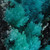 :icontasteslikelion: