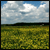 :icontastetherainbow91: