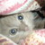 :icontastycrayons: