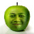 :icontatang-kun: