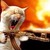 :icontatanis211: