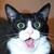 :icontatered-edges: