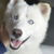 :icontatew:
