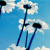 :iconTathiana: