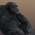 :icontatmank1: