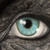 :icontatmyke: