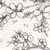 :icontatsukiishida10: