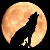 :icontatsumi-seiya-jr: