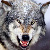 :icontatsuo-silentwolf: