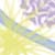 :icontattercoats:
