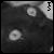 :icontattooedsoul: