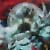 :icontattoostation: