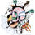 :icontattootim71: