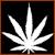 :icontatur-tist: