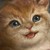 :iconTatz-the-Catz: