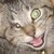 :icontaurelinn: