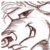 :icontaurenmoo: