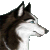 :iconTauXero: