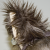 :icontawdipic: