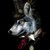 :icontaxidermiedwolf: