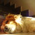 :icontaxidriver89: