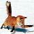 :icontaxodermiedfox: