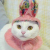 :icontaxvalgirl:
