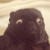 :icontay-reachercbs: